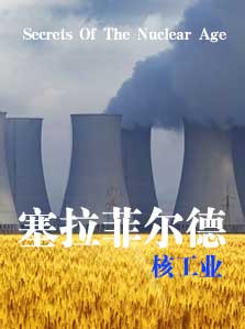 塞拉菲尔德核工业