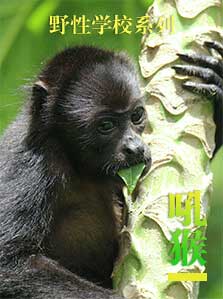 野性学校 吼猴