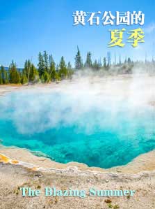 黄石公园的夏季