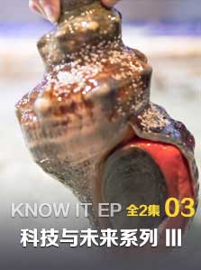 科技与未来 III 03