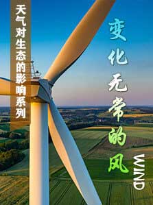天气对生态的影响： 天气对生态的影响（1）变化无常的风