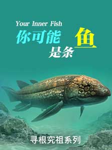 你体内的鱼 01 你体内的鱼