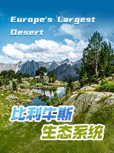比利牛斯生态系统