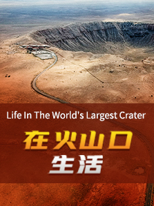在火山口生活