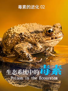 毒素的进化 02 生态系统中的毒素