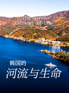 韩国的河流与生命
