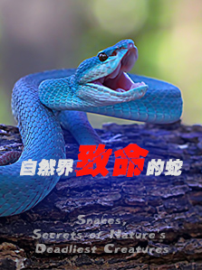 自然界致命的蛇