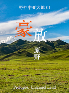 野性中亚大地 01 豪放原野